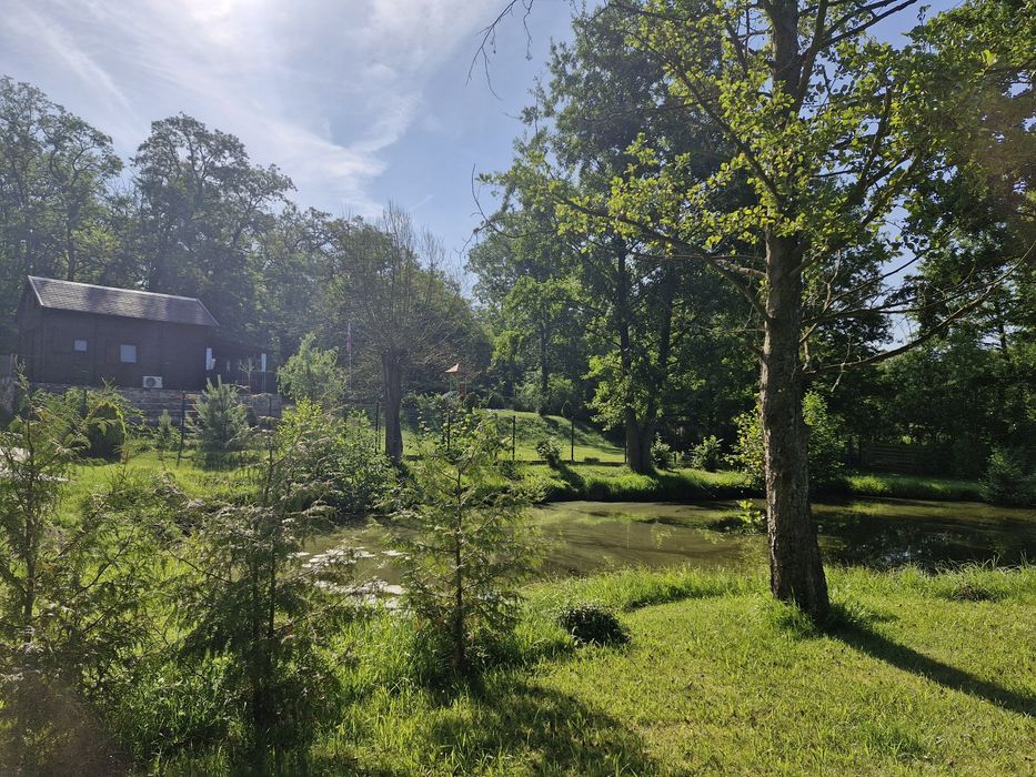 Domek drewniany całoroczny Chycina, lubuskie, super klimat!