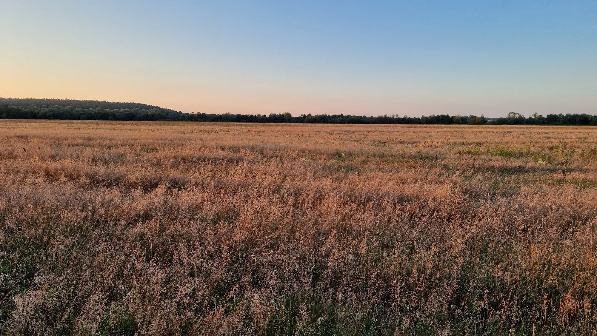 Земельна ділянка (поле) Крехів