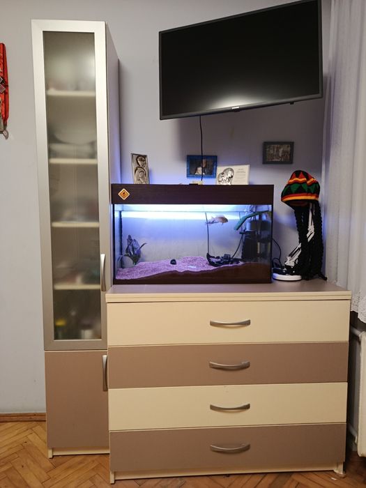 Меблі в дитячу кімнату