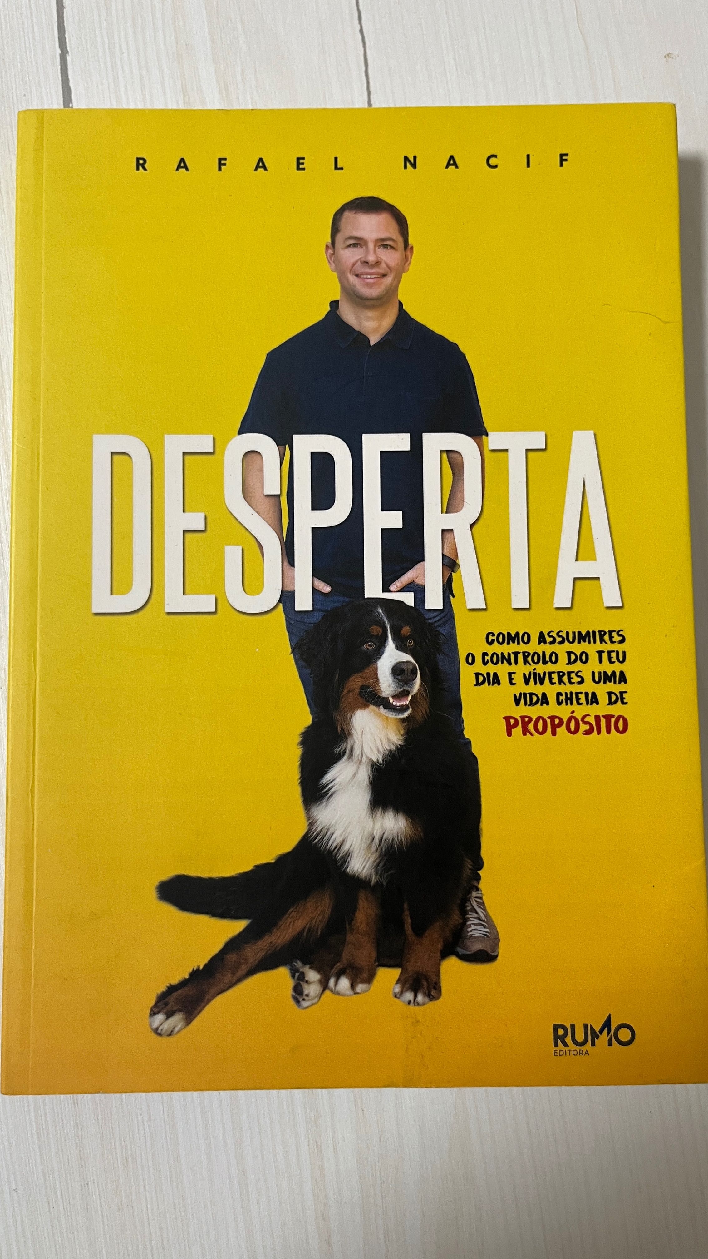 Desperta (Rafael Nacif) – Livro de desenvolvimento pessoal como novo