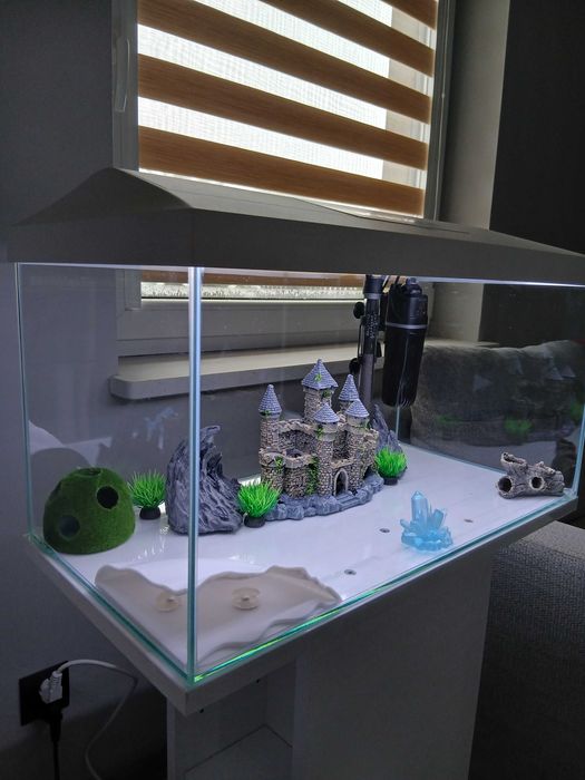 Sprzedam Akwarium PILNIE | TANIO