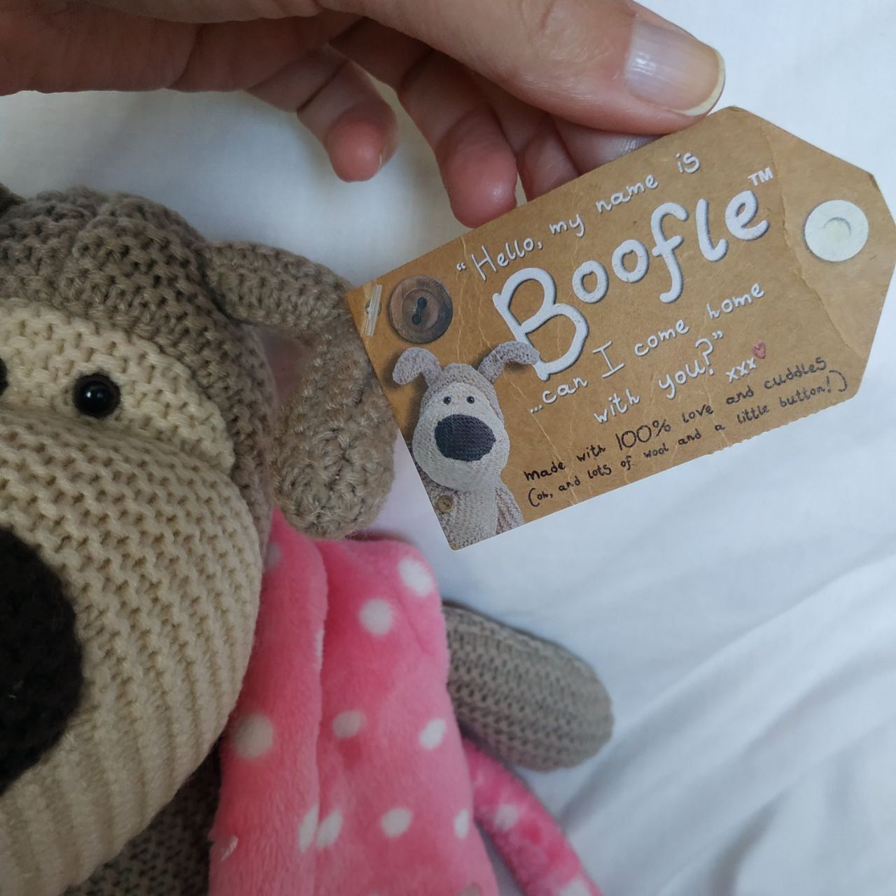 Вязаная собака буфи в халате,Boofie