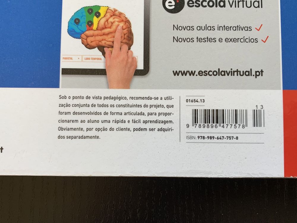 Linhas da História - 11º ano - Caderno de atividades