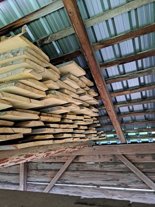 Tarnica bukowa  deski