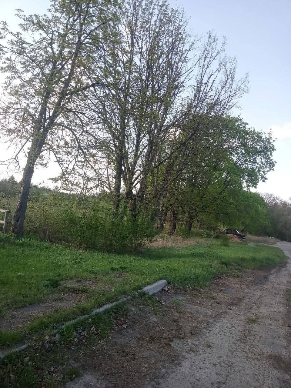 Продаж земельної ділянки