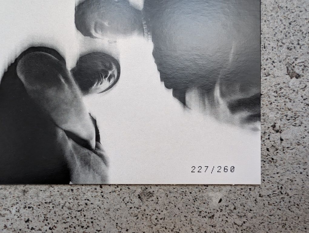 Pro8l3m - Proxl3m x Wolf nr 227/260 | Steez Oskar Etui 3D