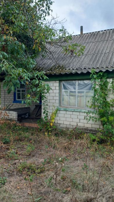 Житловий будинок в селі Тіньки, (м. Чигирин)