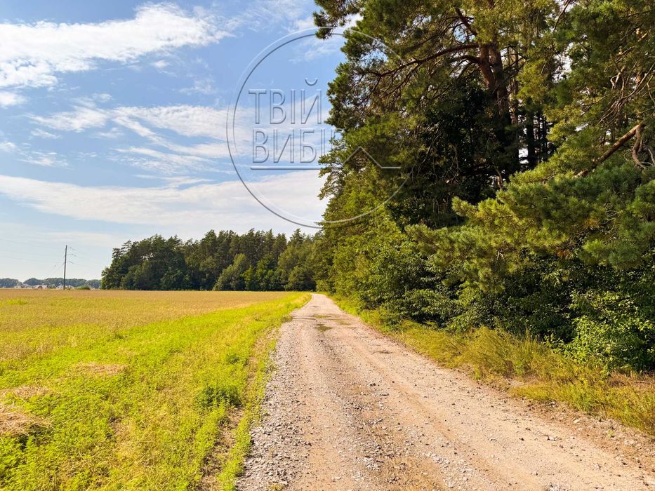 Продаж Ділянки Петрушки 10 соток