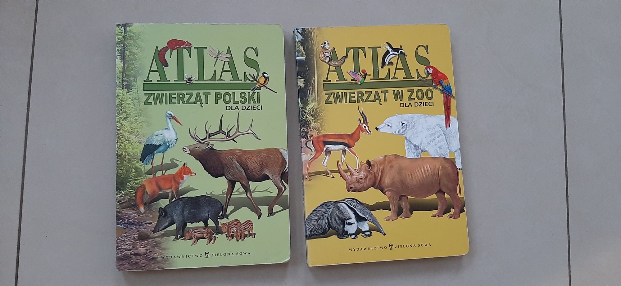Atlas zwierząd Polski, w Zoo 2 szt twarde kartki