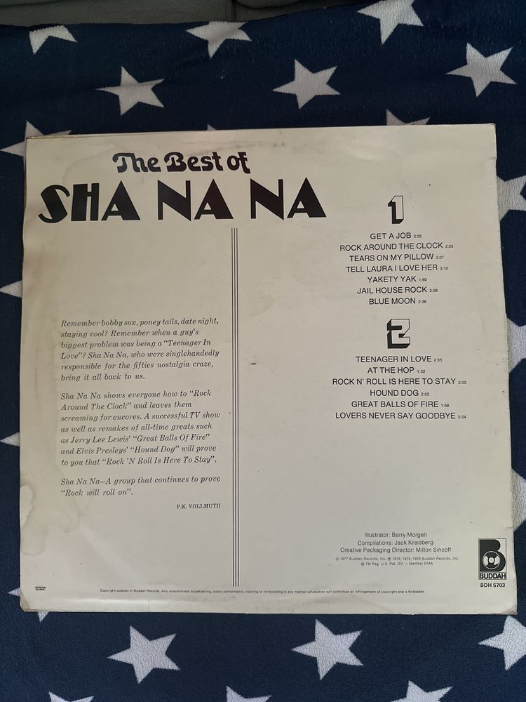 Disco Vinil The Best of Sha Na Na