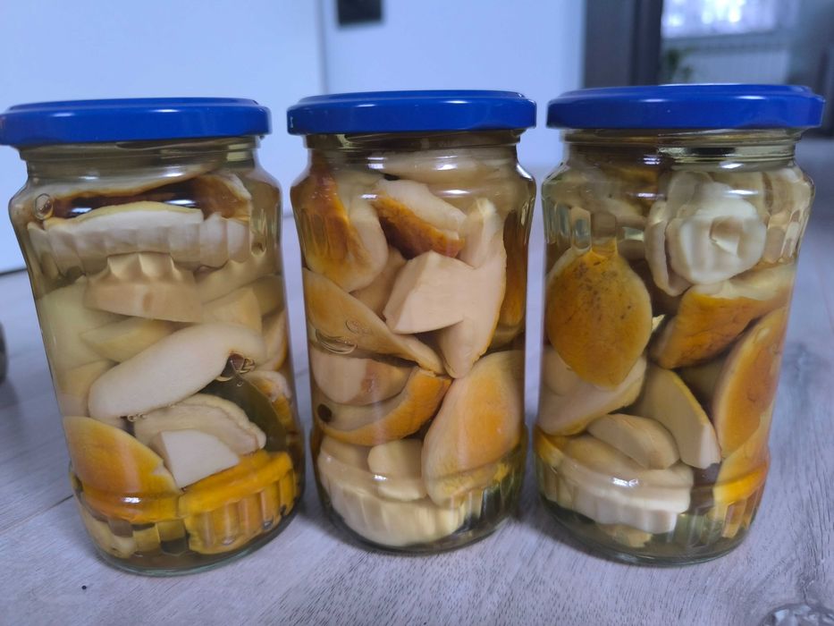 Sprzedam grzyby suszone i marynowane