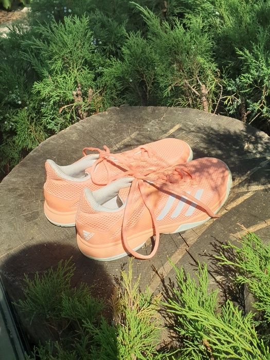 Одяг в асортименті.