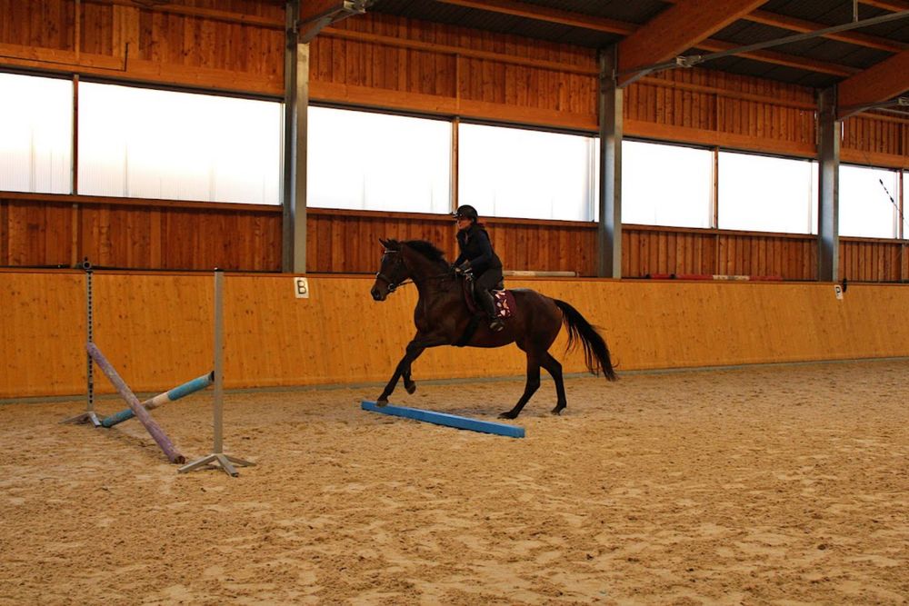 Wysoka klacz  (170cm) pelny TUV