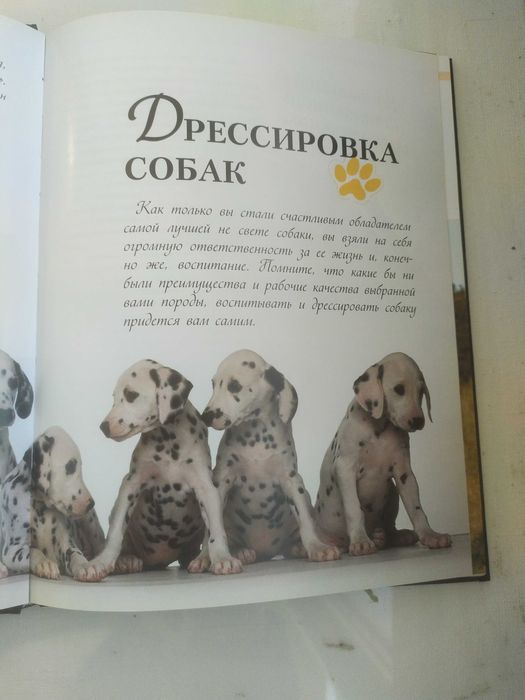 Наши  верные друзья -собаки.Книга.