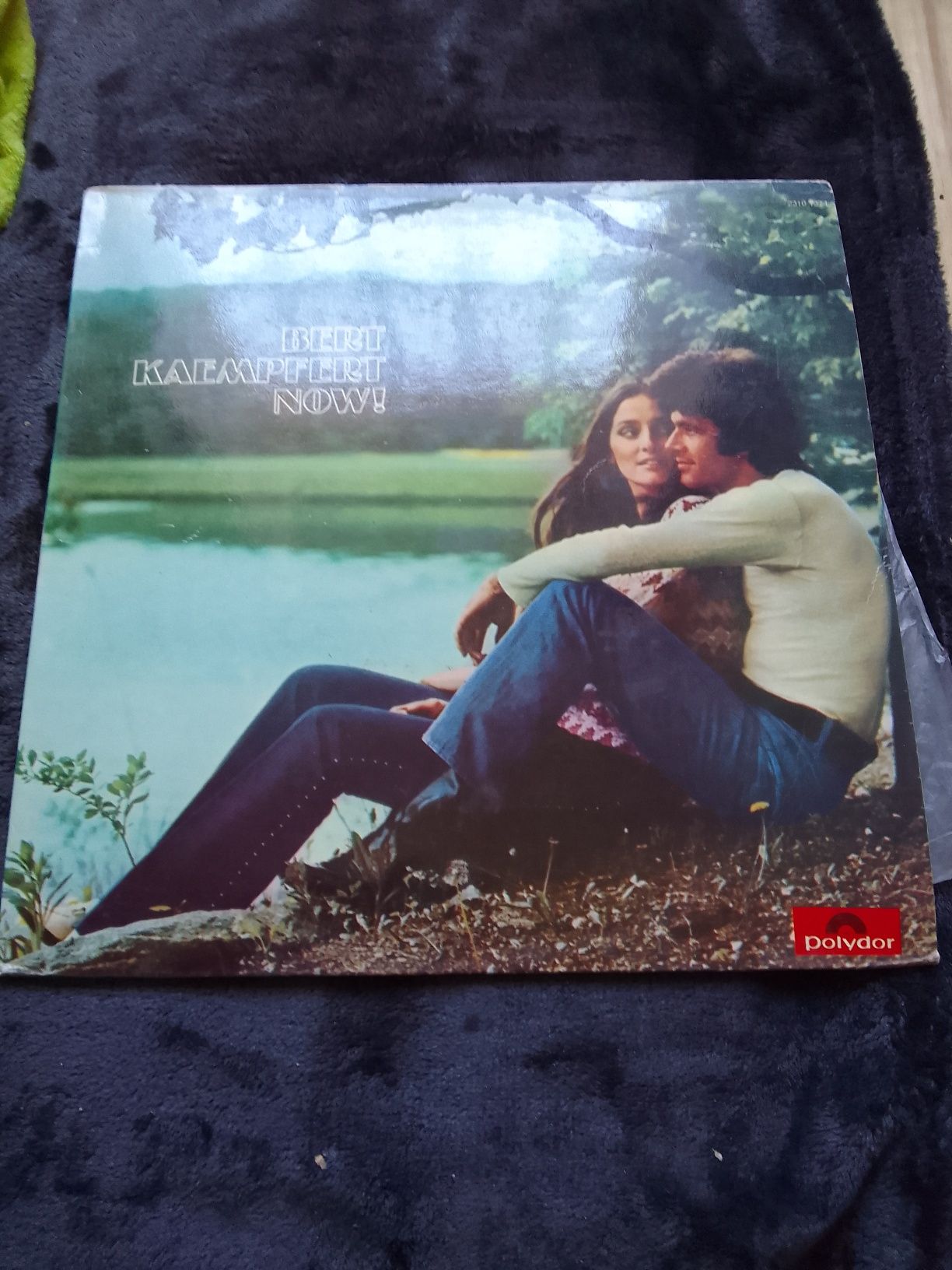 Discos de vinil lp vários