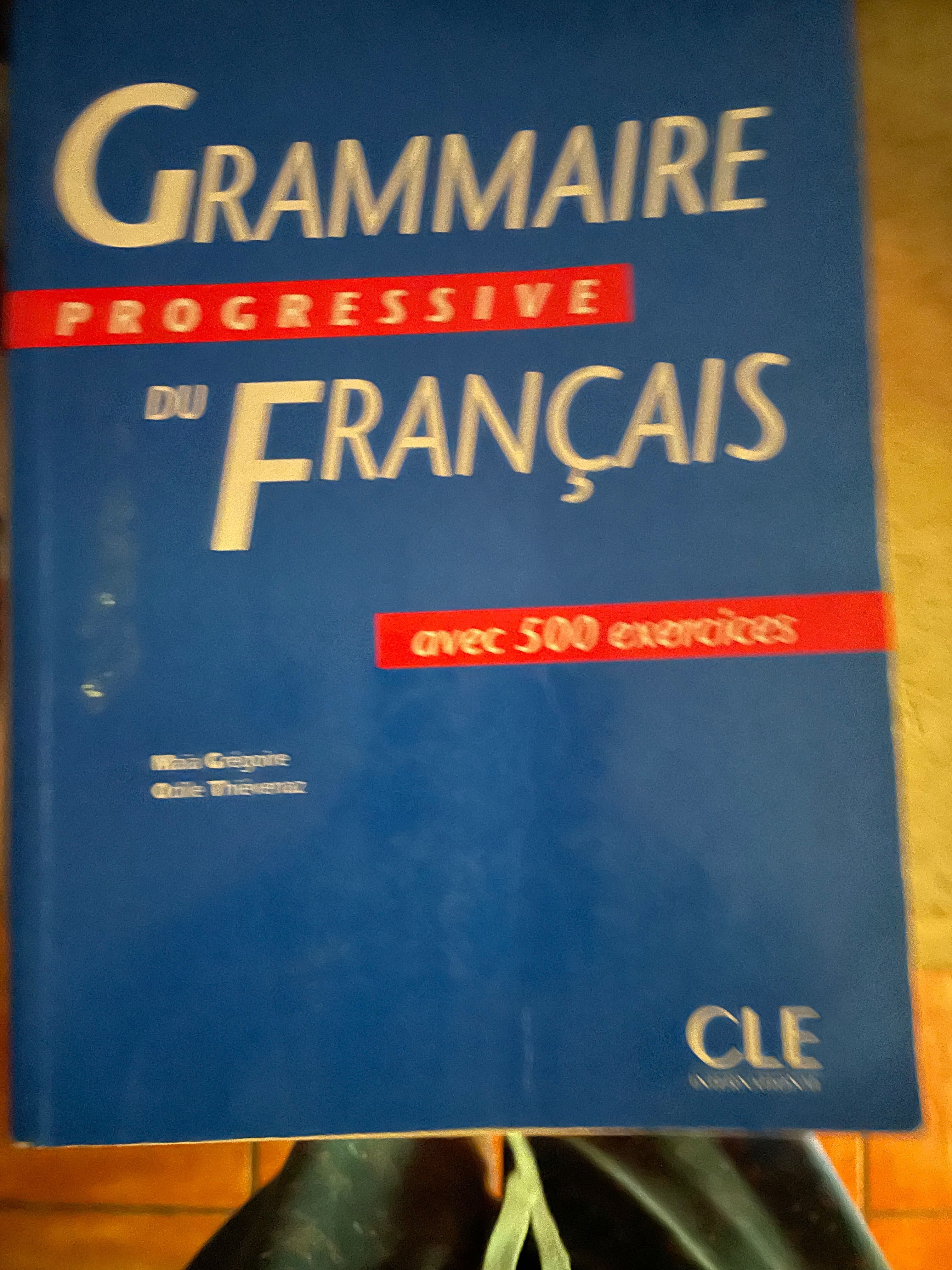 Grammaire de Français -Gramática progressiva de francês