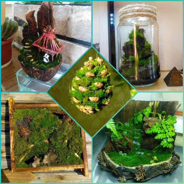 Флорариум, мохариум, массариум, ЭКО скульптура, мох