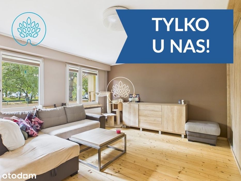 3 pok. na parterze, do wejścia, Wzgórze Wolności