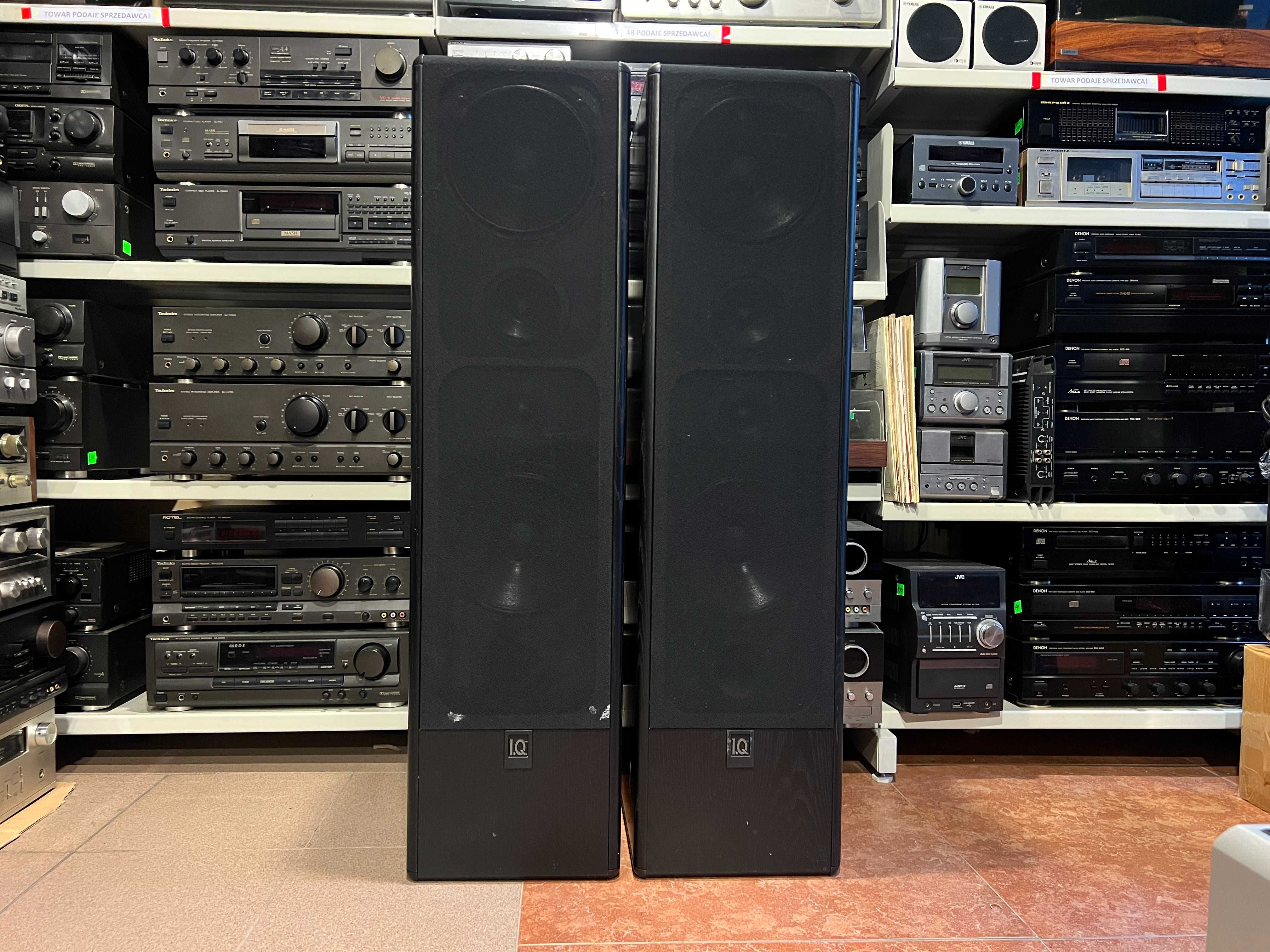 Kolumny podłogowe IQ TED 4, Potężne, Audio Room