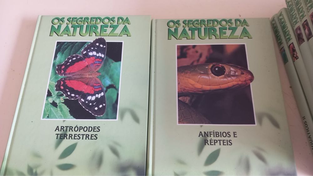 Os segredos da natureza