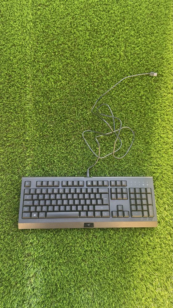 Razer Cynosa Lite novo