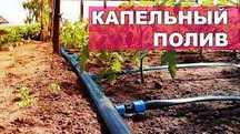 Крапельний полив 10,15,20,30см Корея GOLDEN DRIP, Shadow, эмітерна