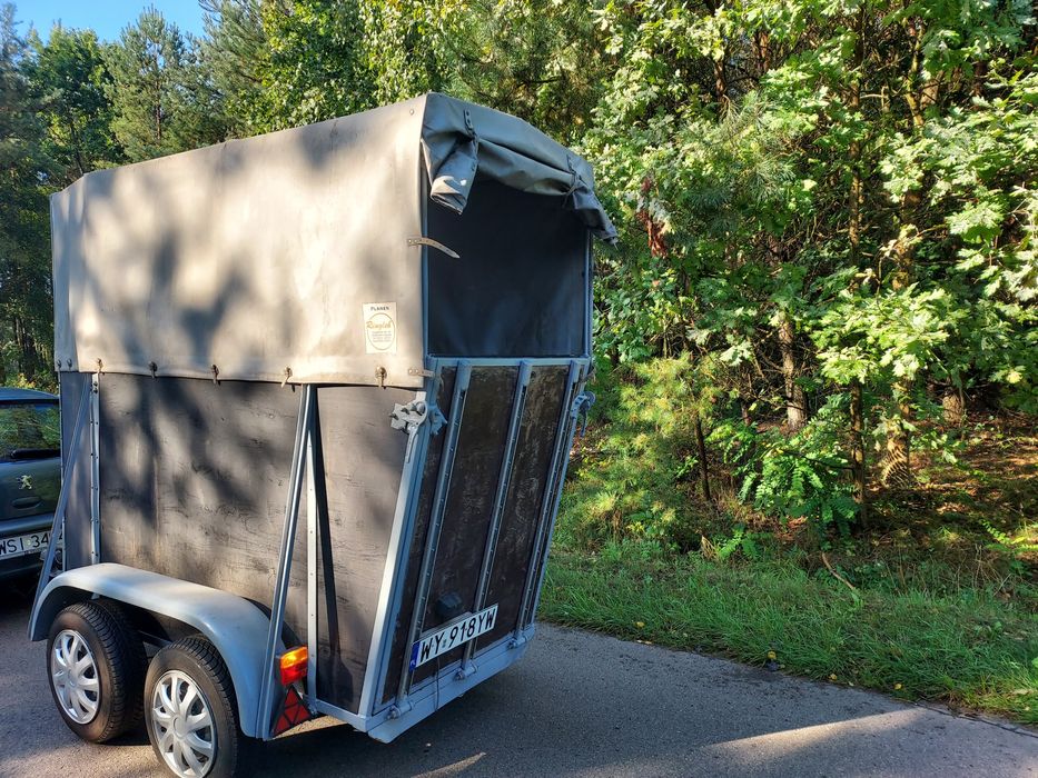 Klacz, ogier zamienię 1200 dmc