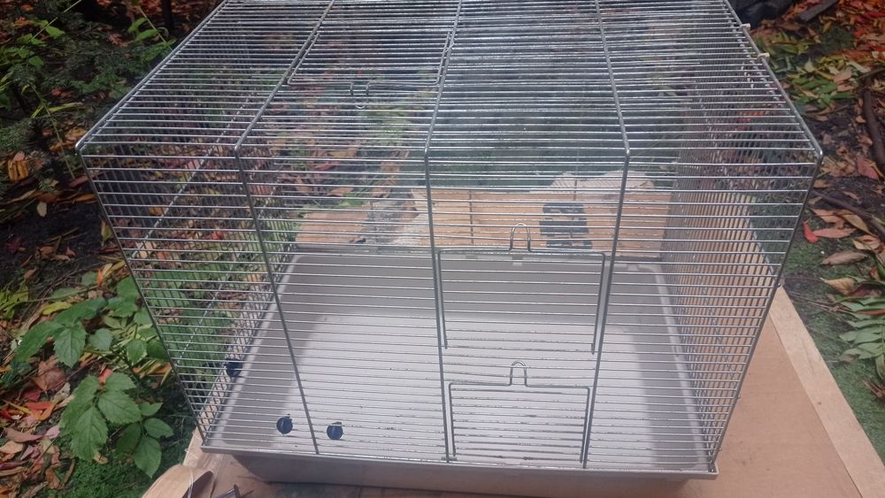 Klatka dla gryzonia