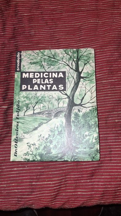 Medicina pelas plantas Dr Oliveira Feijão alimentos alimentação