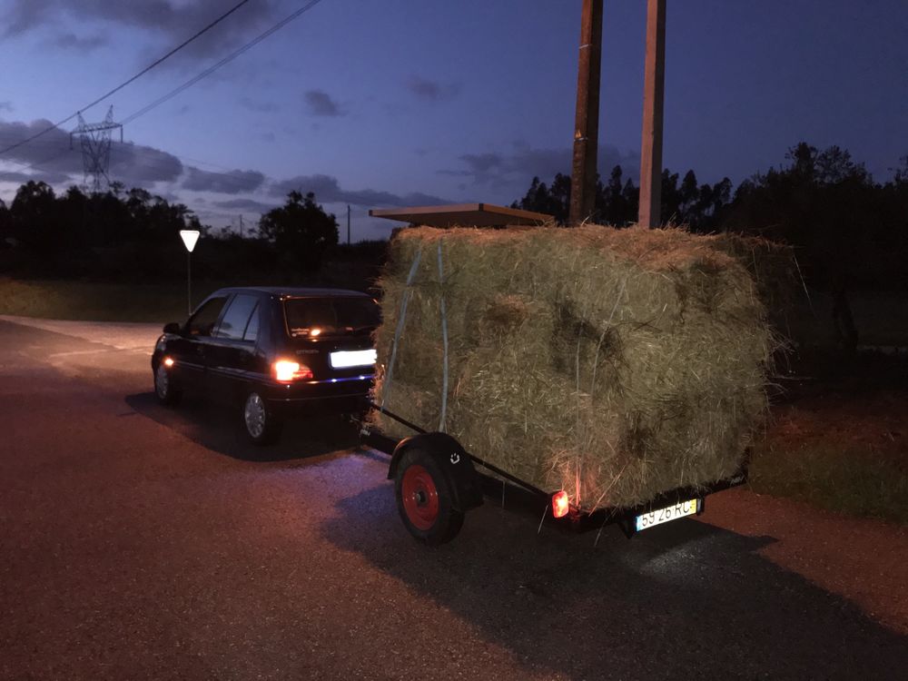 Mudanças / Transportes Figueira da Foz