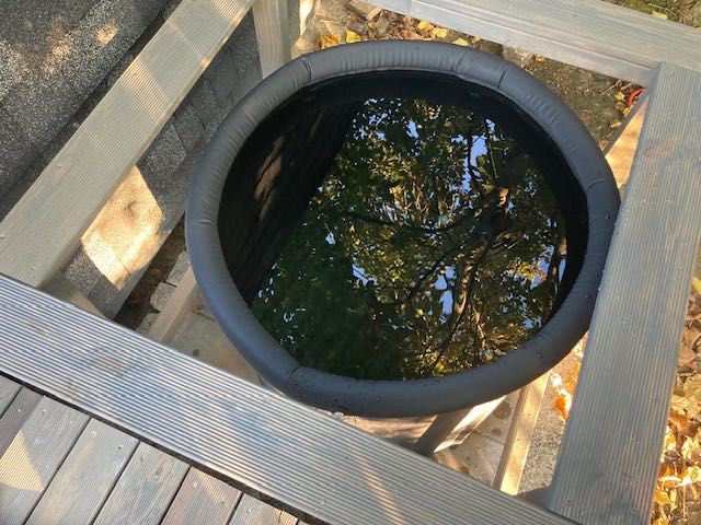 Sauna w lesie na wyłączność, 10 min od centrum Lublina, relaks i grill