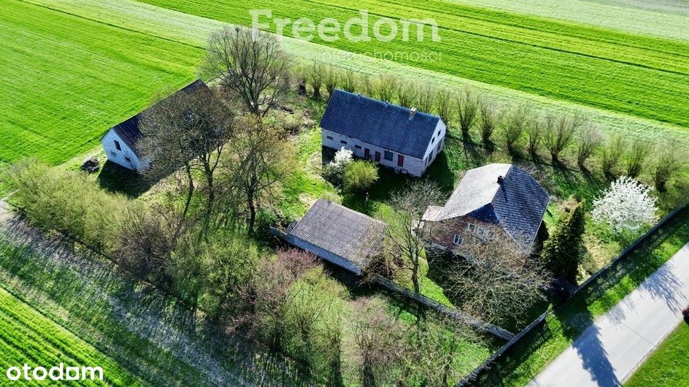 Dom z zabudowaniami i dużą działką – Bichniów