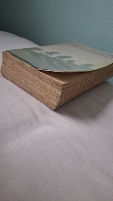 Książka "Łuny w Bieszczadach" Jan Gerhard