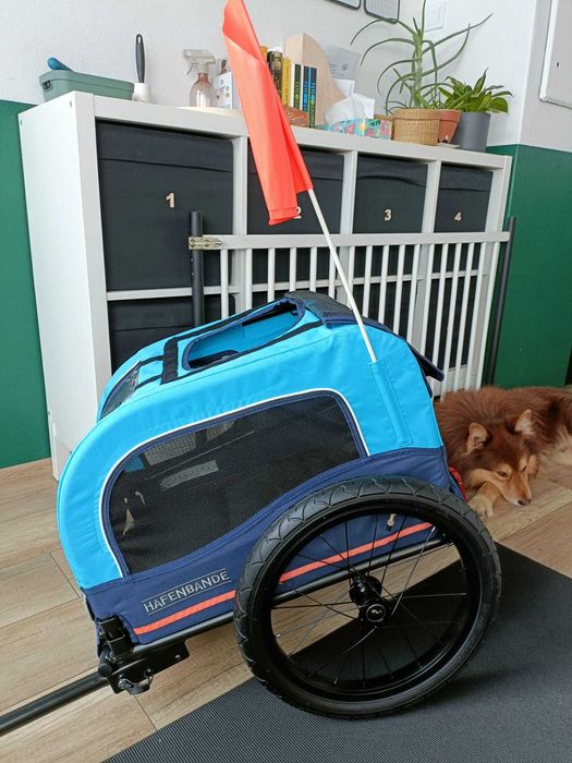 Wynajem przyczepki rowerowej dla psa (S)/ Dog Bike Trailer for Rent