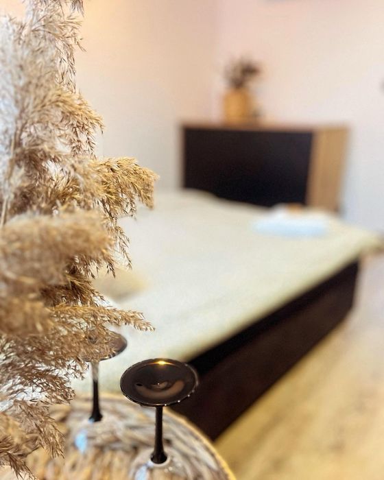 pokoje pracownicze, Mazury, Orzysz/Wierzbiny/ Apartamenty nad jeziorem