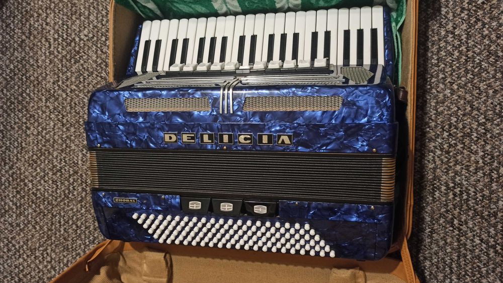 Akordeon Delicia 120 basów
