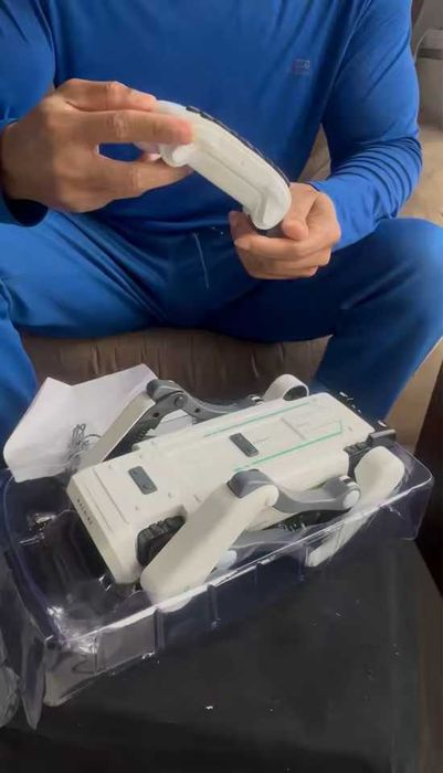 Cão mecânico para crianças