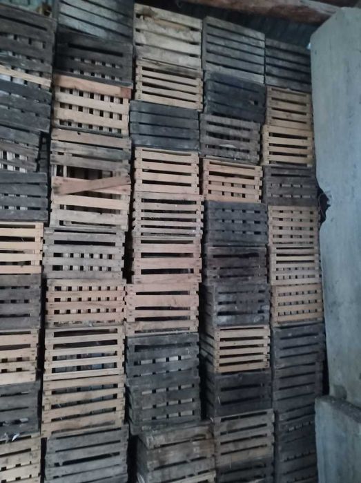 Paczki skrzynki jedynki na jabłka