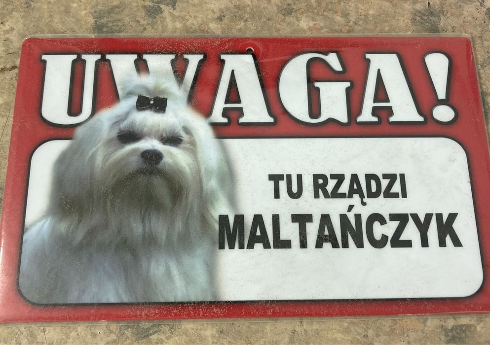 tabliczka na bramę maltańczyk