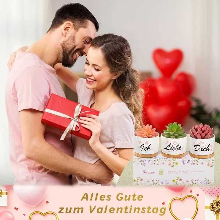 DONICZKI 3szt ceramiczne na kaktusy dekoracyjne na sukulenty NOWE s186