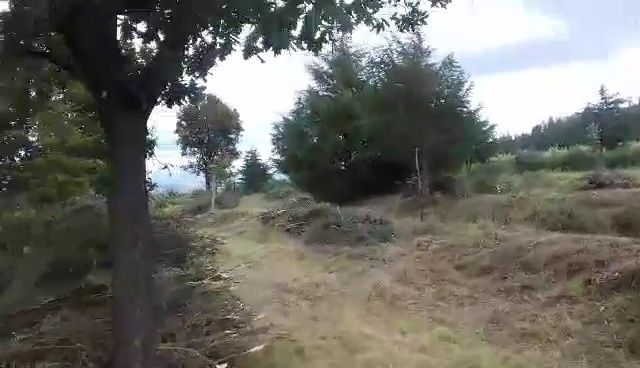 Terreno 10491m2 Agrícola Com árvores de fruto  e Poço e charca