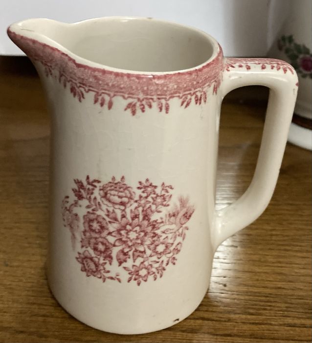 Pequena leiteira de Sacavém Faisão rosa