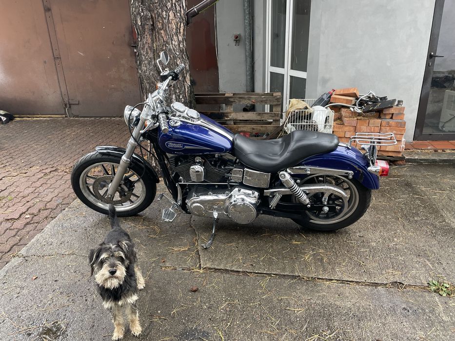 Harley davidson dyna