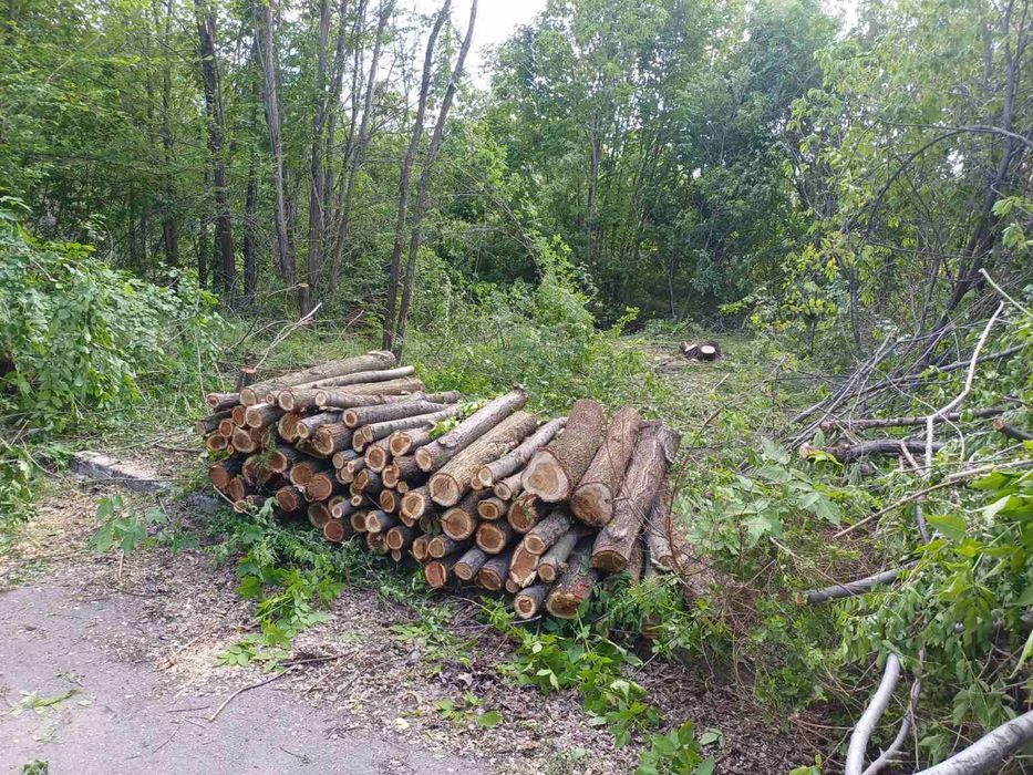 Дроблёная ветка, дрова, щепа, метровка.