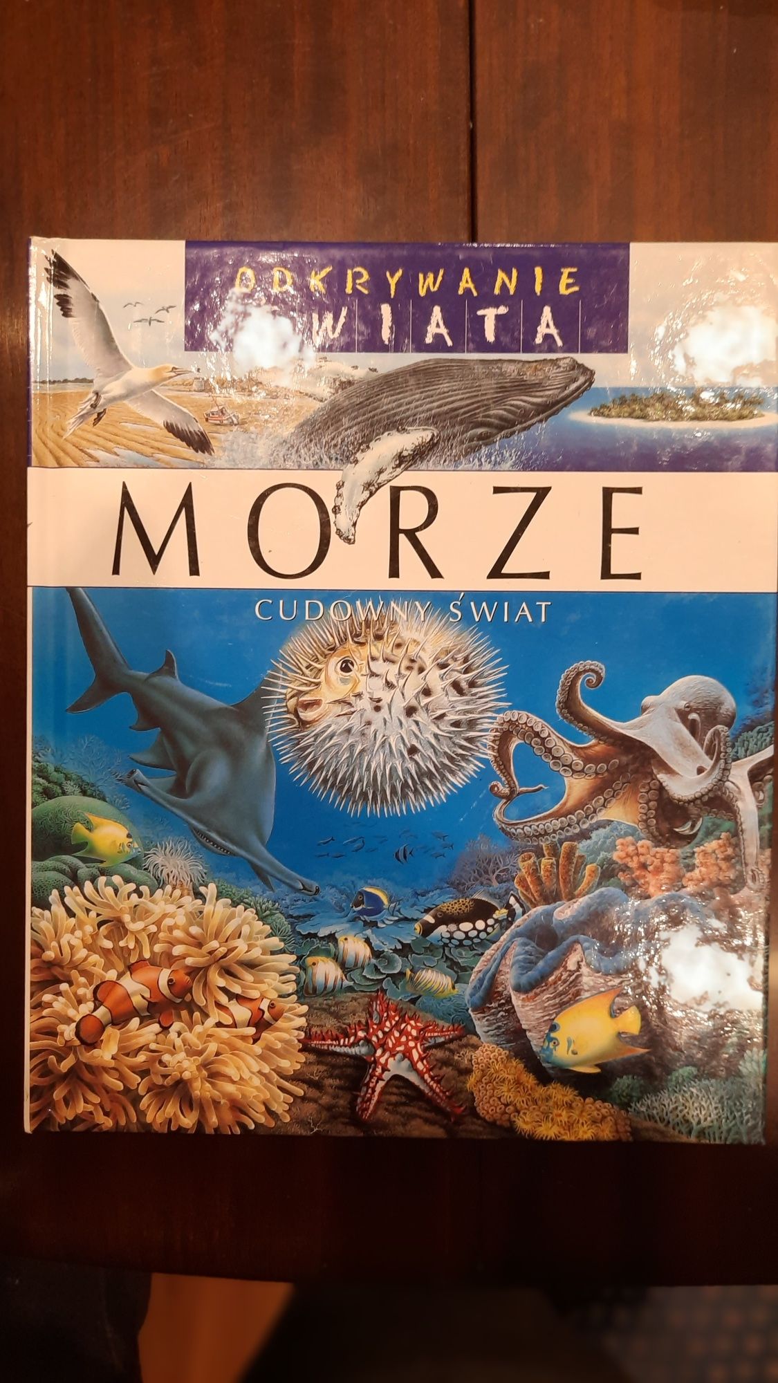 Książka dla dzieci o morzu