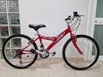 Bicicleta DS MX24 Roda 24