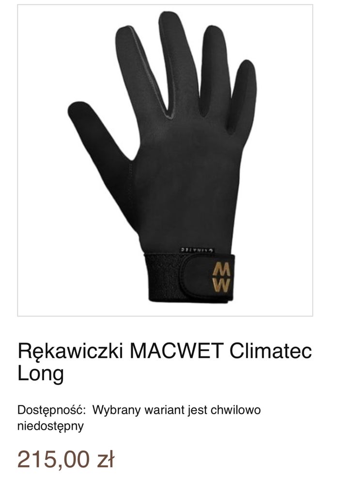 Rękawiczki zimowe MAC WET Climatec