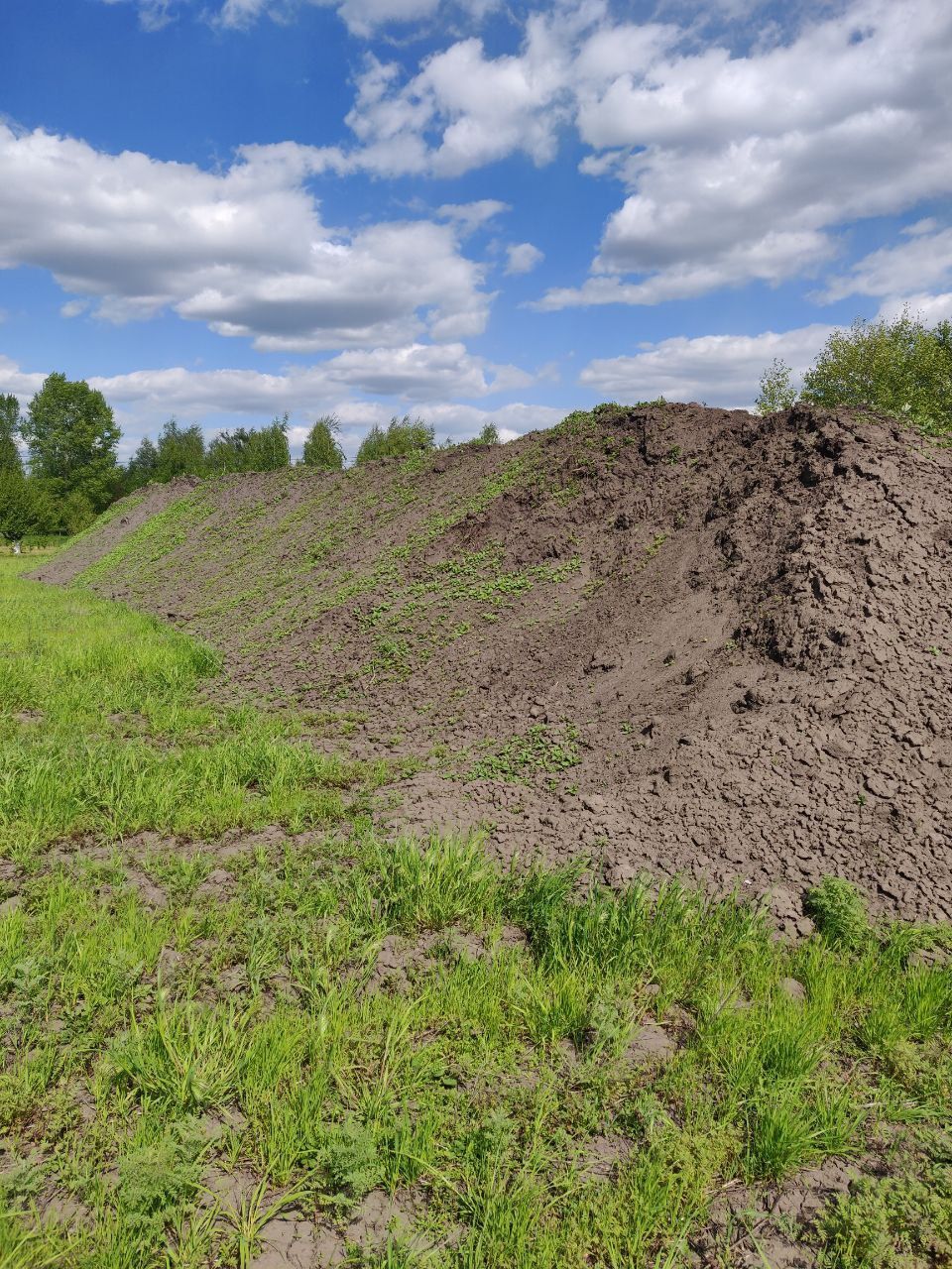 Перегній, щебінь, сипець, чорнозем, щебінь, цемент,отсев, гранвідсів,