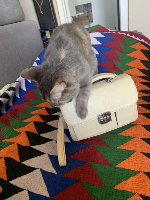 Барсетка, шкіра.