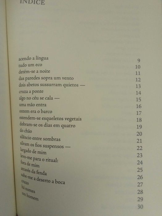 Manuel Alberto Vieira - Da pétala, gume